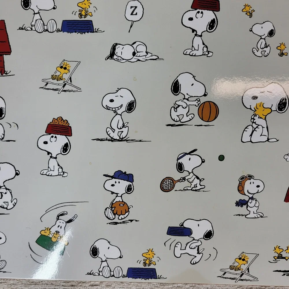 Pottery Barn Kids Peanuts Snoopy Woodstock Placemats 2018 Cork Back Set of 4
